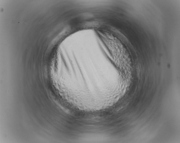 X0000075910729200610062142