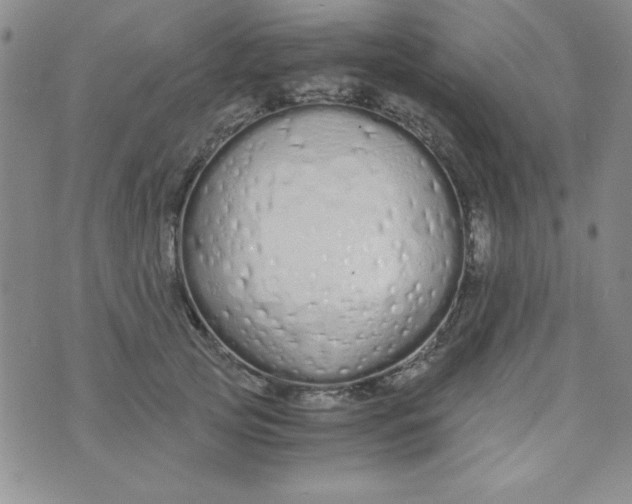 X0000075910753200610062142