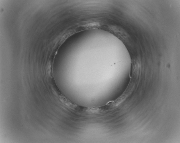 X0000075910767200610062143