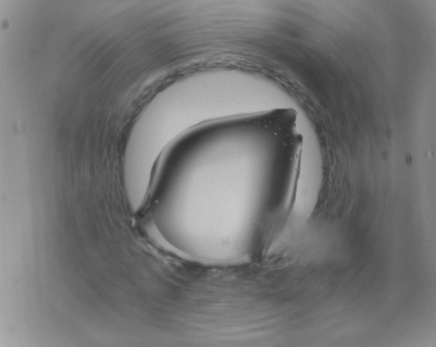 X0000075910773200610062142
