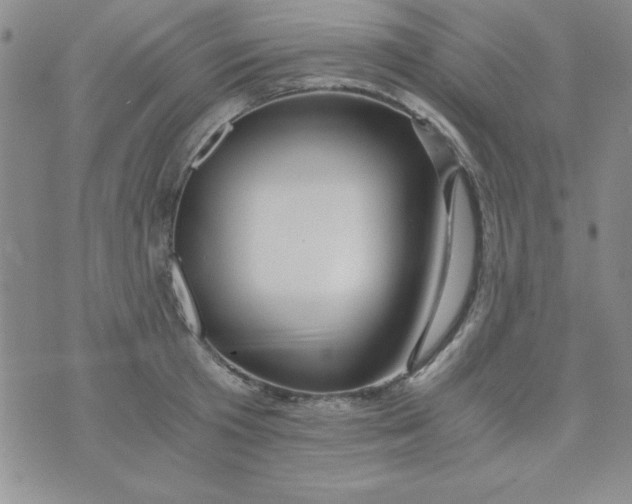 X0000075910801200610062141