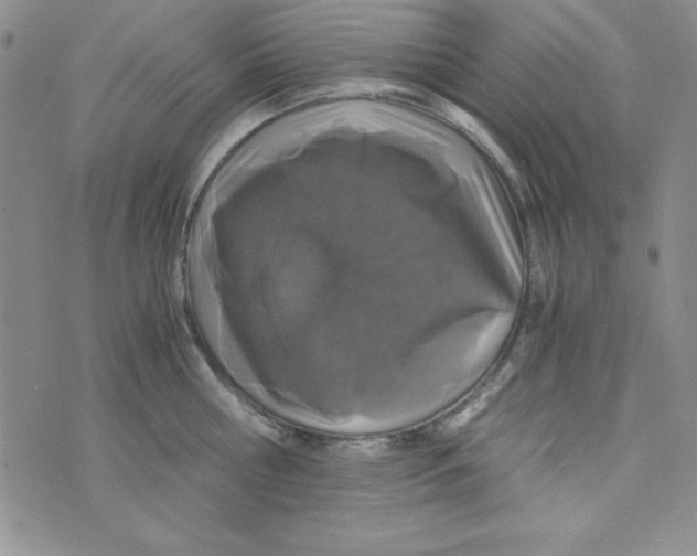 X0000075910810200610062141
