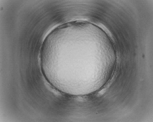X0000075910814200610062141
