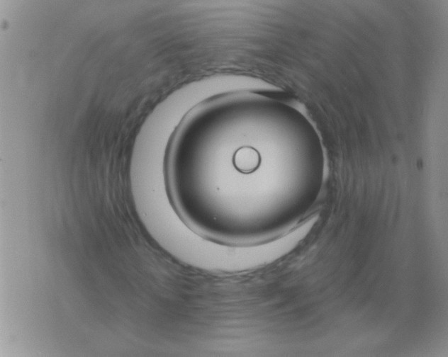 X0000075910818200610062140