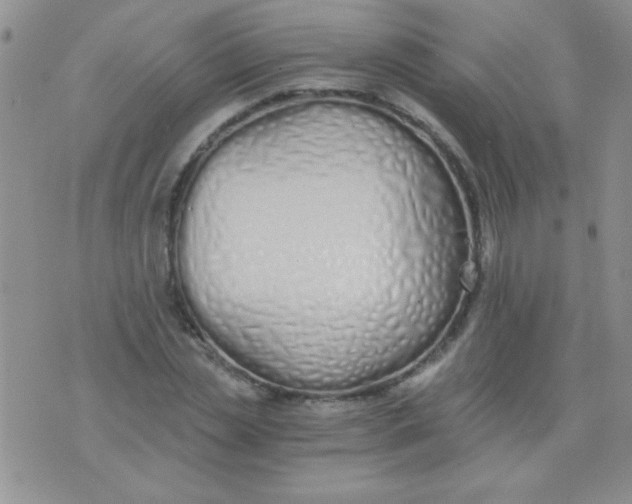 X0000075910829200610062140