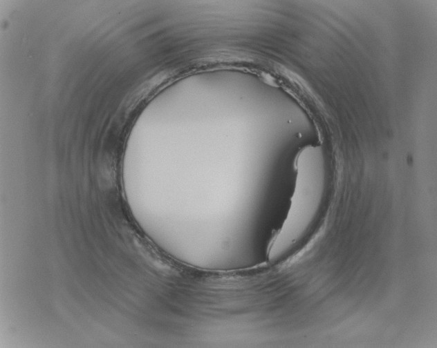 X0000075910833200610062140