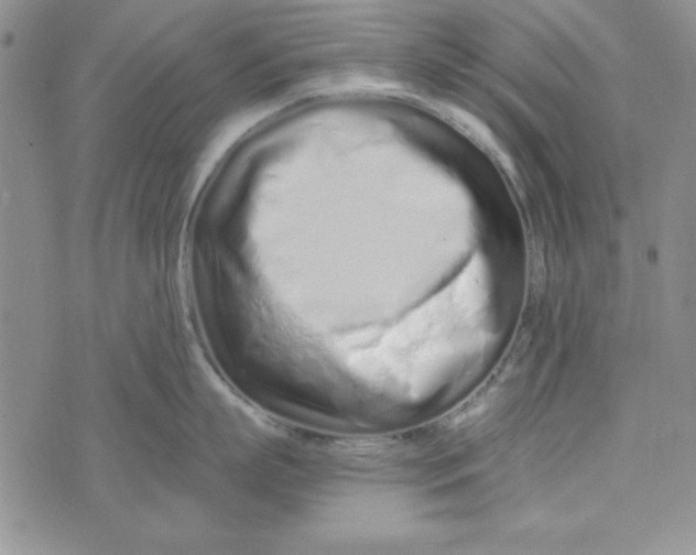 X0000075910863200610062141