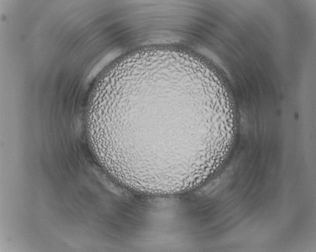 X0000075910874200610062140