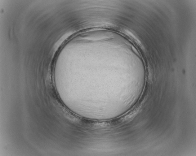 X0000075910883200610062140