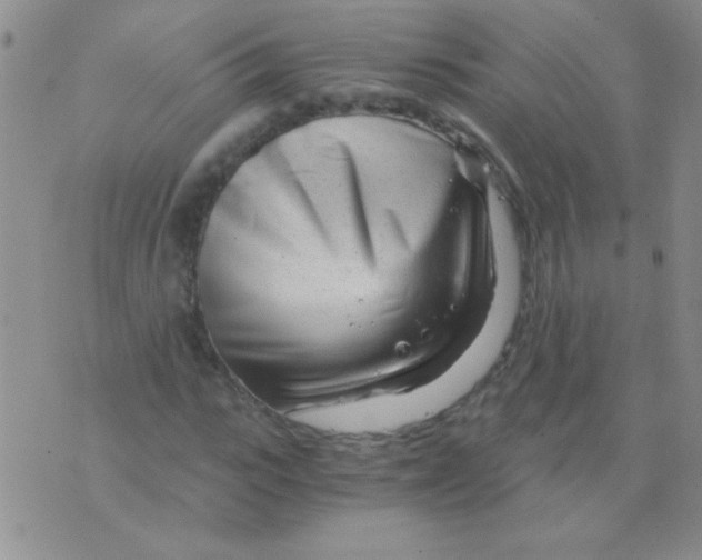 X0000075910919200610062139