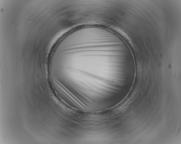 X0000075910935200610062139