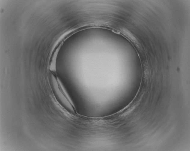 X0000075910940200610062139