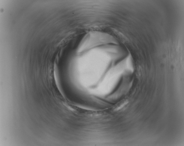 X0000075911010200610062137