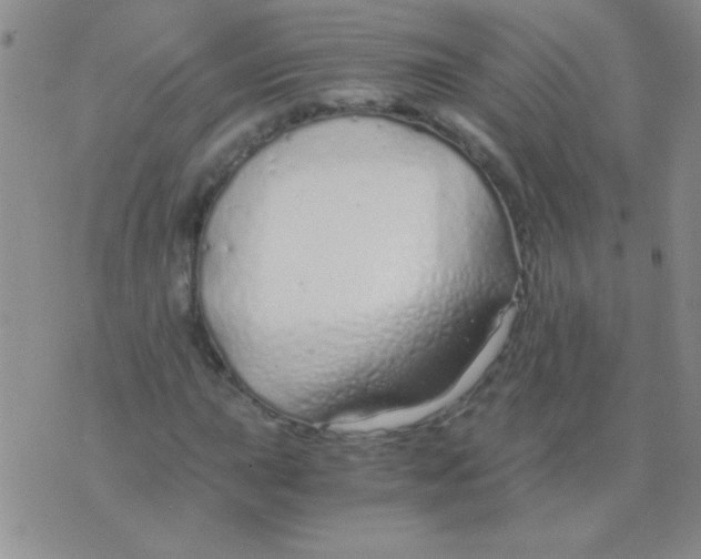 X0000075911015200610062137