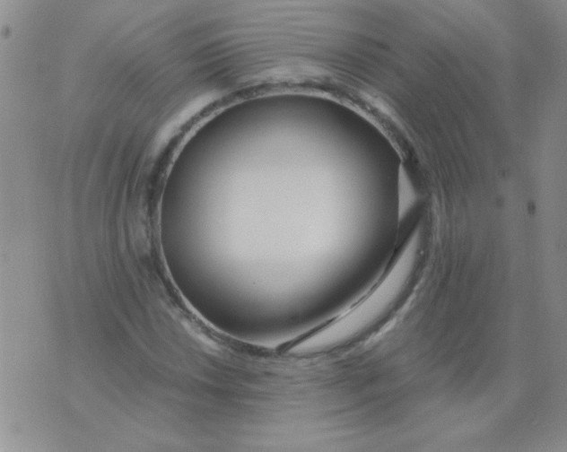 X0000075911018200610062137