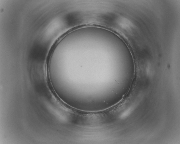 X0000075911032200610062137