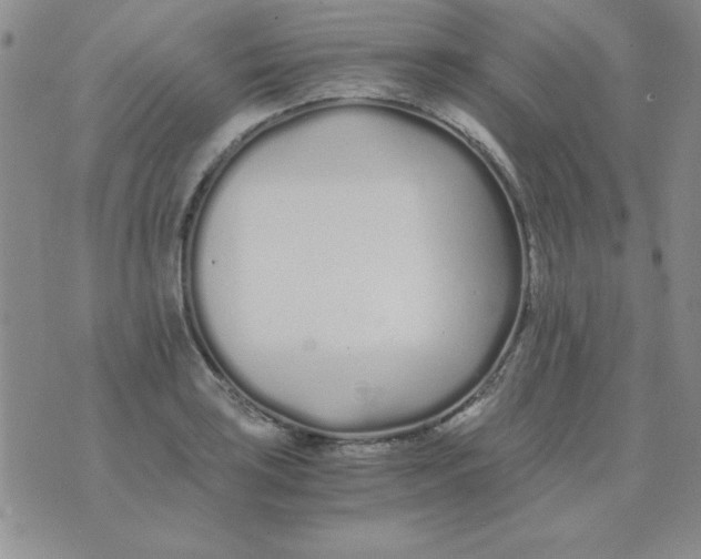 X0000075911035200610062137