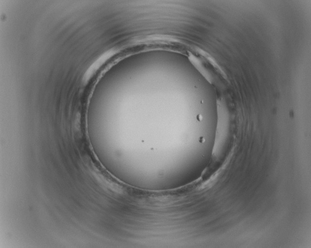 X0000075911066200610062137