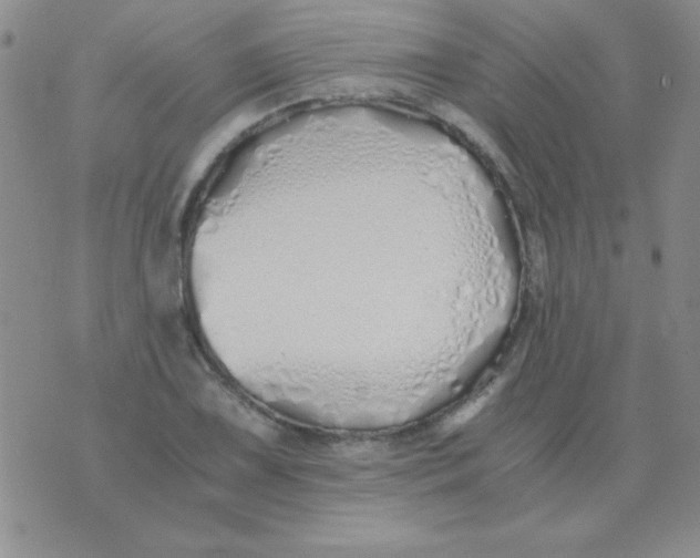 X0000075911075200610062137