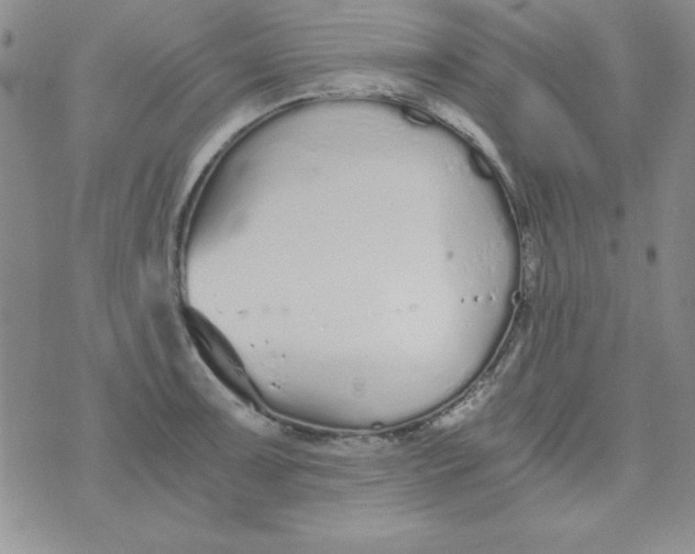 X0000075911091200610062136