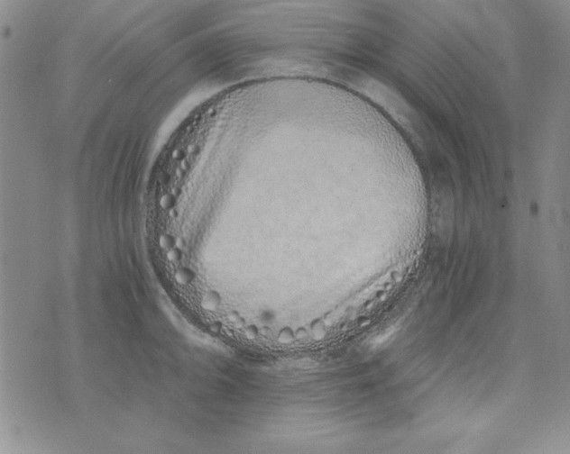 X0000075911094200610062136