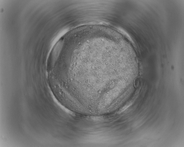 X0000075911095200610062136