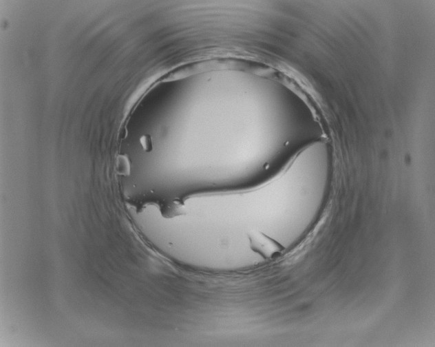 X0000075911097200610062136