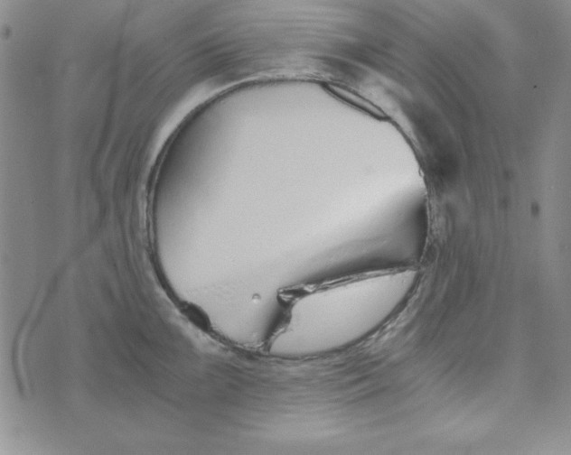 X0000075911099200610062136