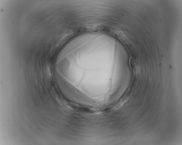 X0000075911106200610062135