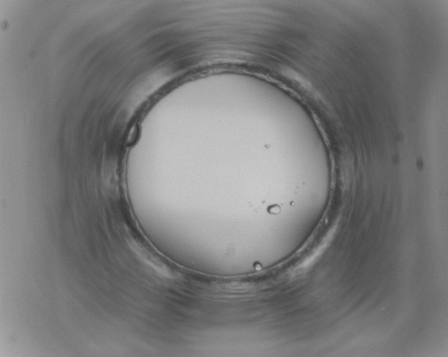 X0000075911113200610062136