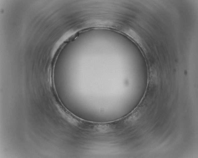 X0000075911128200610062136