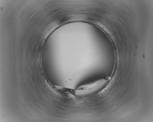 X0000075911137200610062136