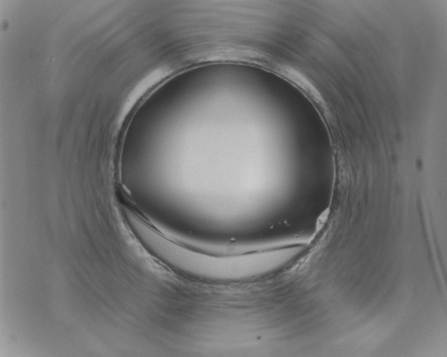 X0000075911138200610062136