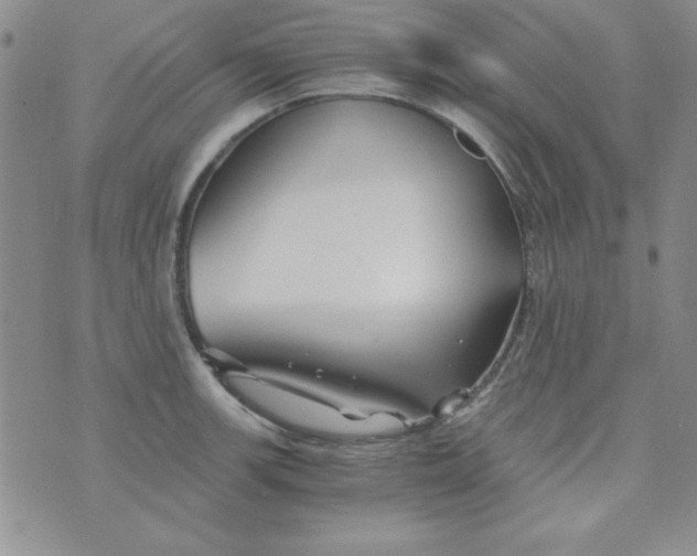 X0000075911139200610062136