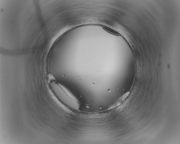 X0000075911142200610062136