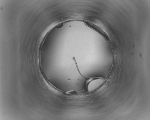 X0000075911143200610062136