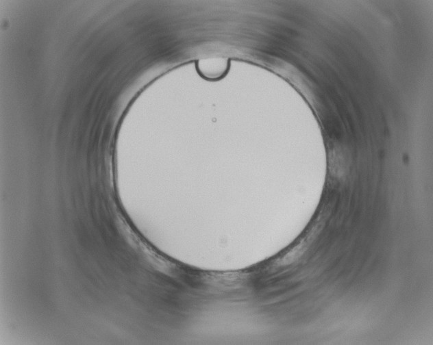 X0000075911150200610062136