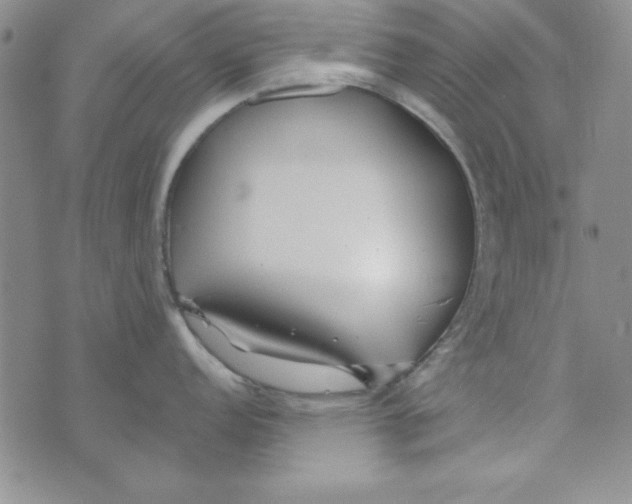 X0000075911152200610062136