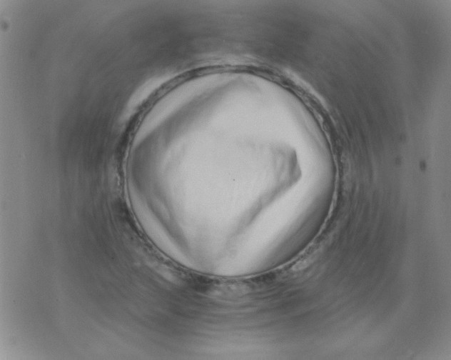 X0000075911215200610062134