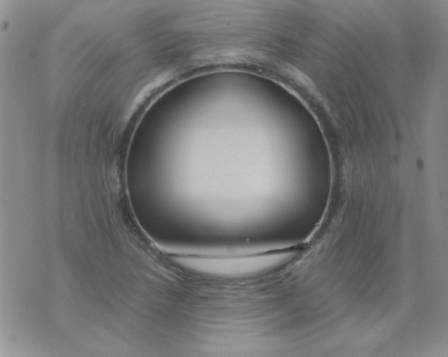 X0000075911218200610062134