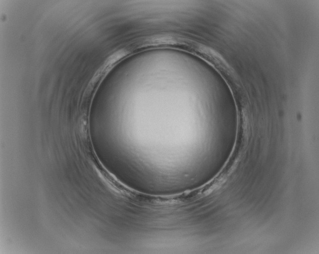 X0000075911225200610062134