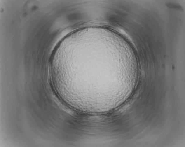 X0000075911227200610062134