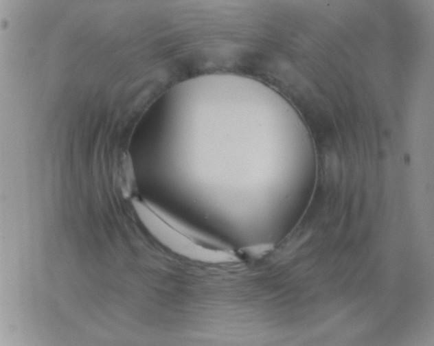 X0000075911250200610062134