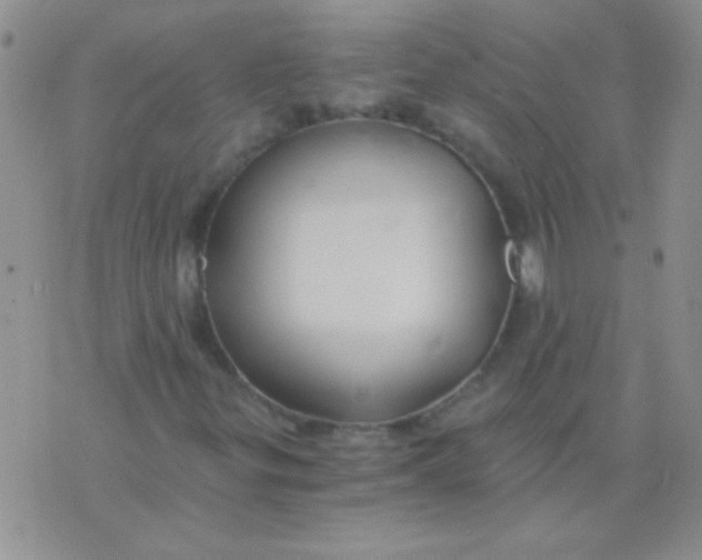 X0000075911299200610062132