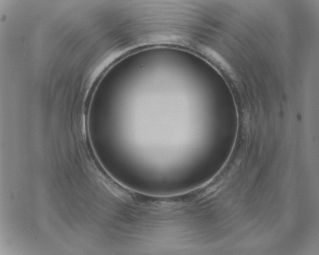 X0000075911324200610062133