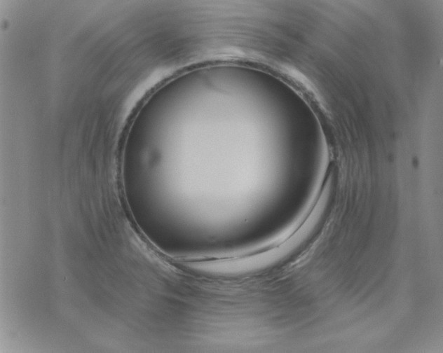 X0000075911326200610062133