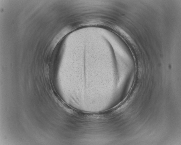 X0000075911329200610062133