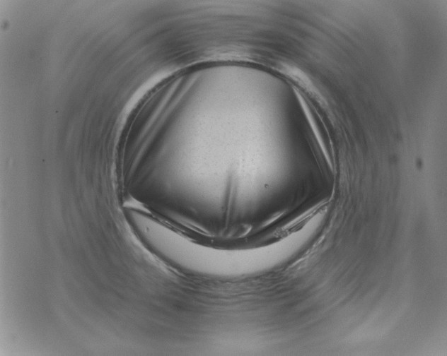 X0000075911331200610062133