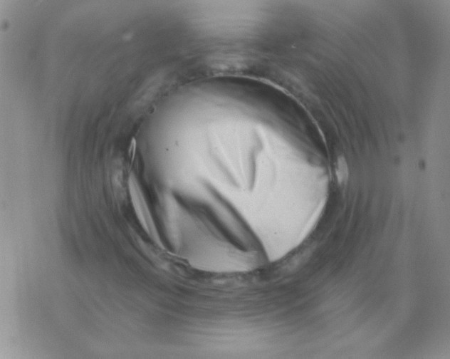 X0000075911396200610062131