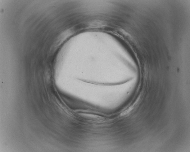 X0000075911401200610062131
